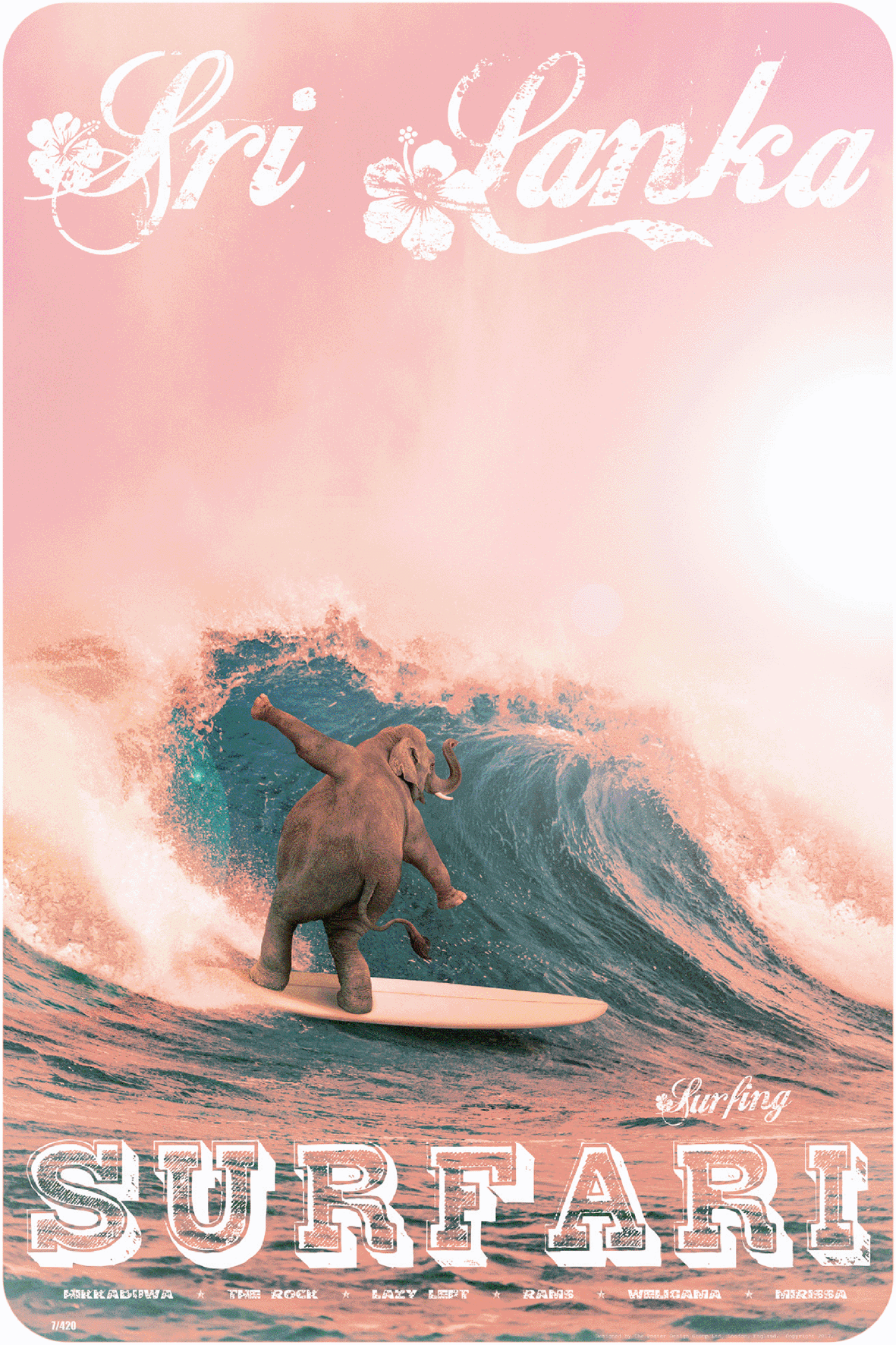 Elephant Surfari, West Coast, 1970s.