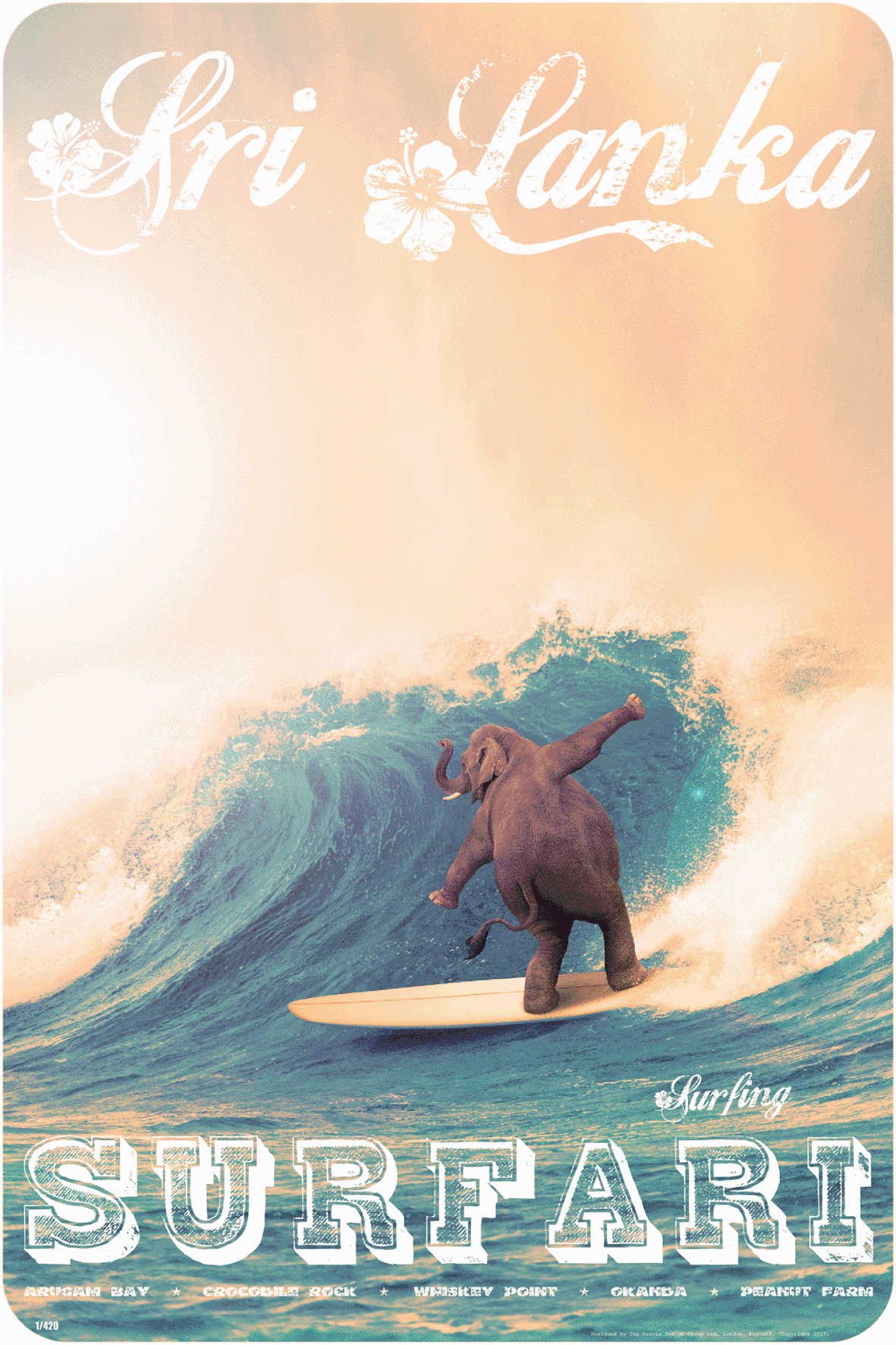 Elephant Surfari, East Coast, 1970s.