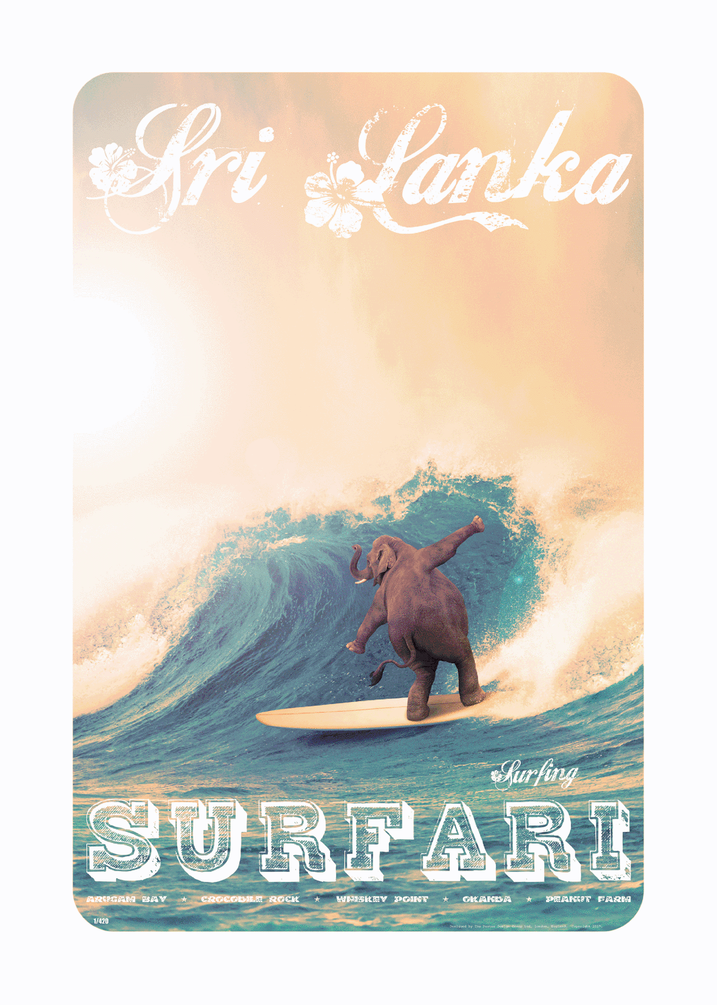 Elephant Surfari, East Coast, 1970s.