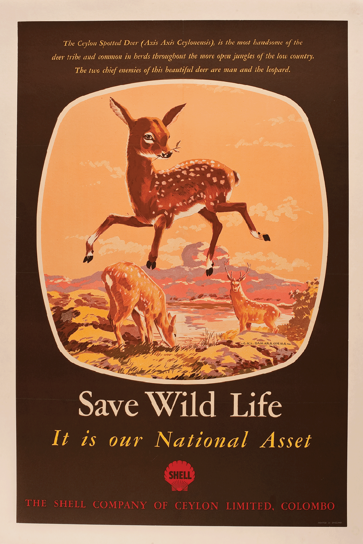 Save Wild Life - Sigiriya 1940s - Sri Lankan Wildlife Conservation Society.