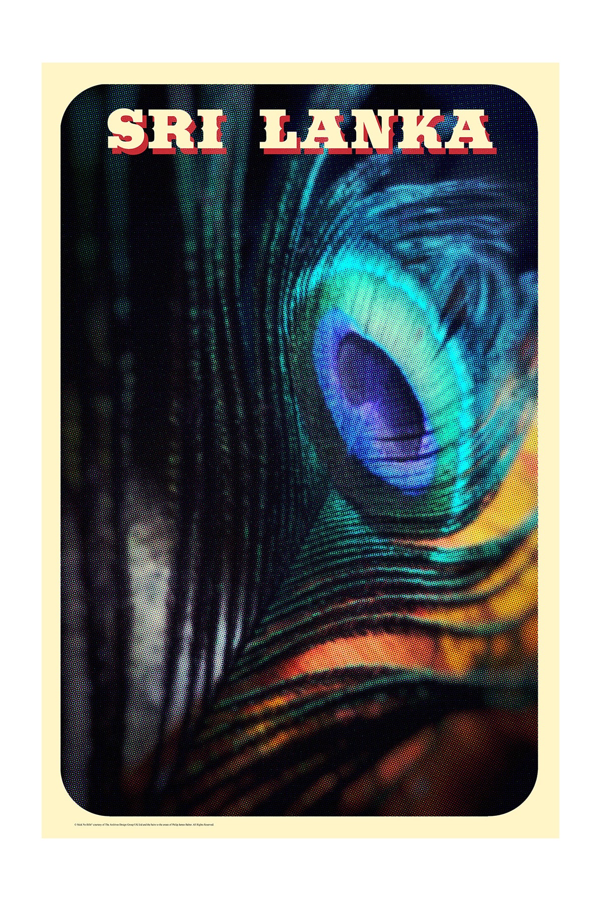 Peacock Feather, Sri Lanka. [Indian Blue Peafowl]