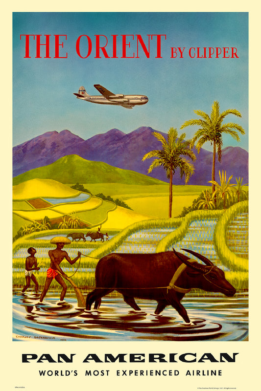The Orient, Pan American, 1950s. [Water Buffalo]