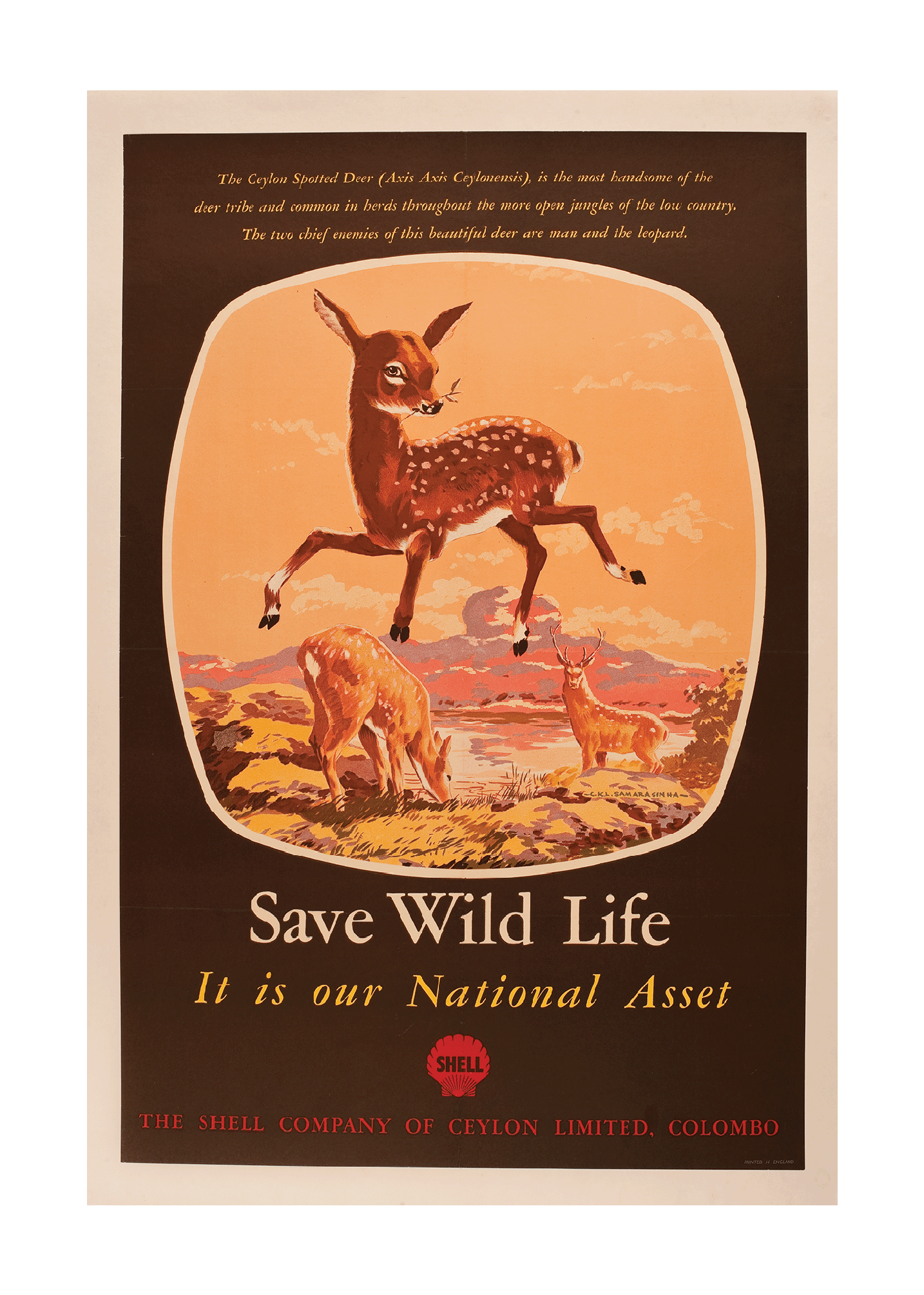 Save Wild Life - Sigiriya 1940s - Sri Lankan Wildlife Conservation Society.